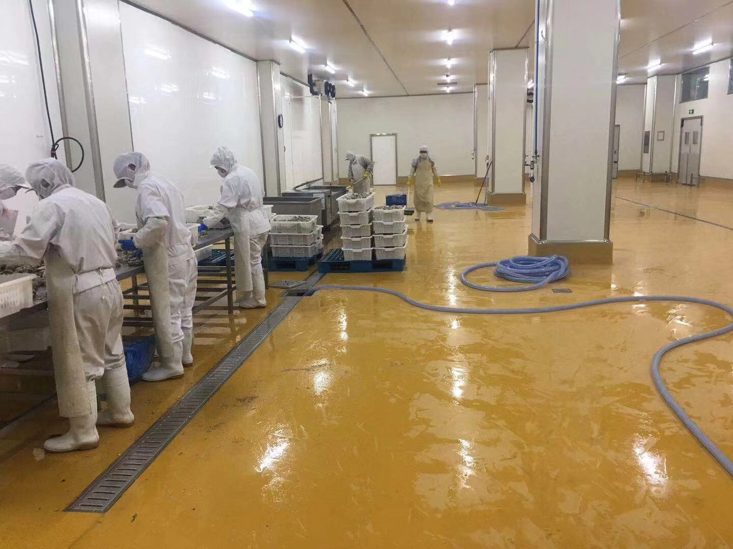 1559018722102944.jpg 1559018722102944.jpg